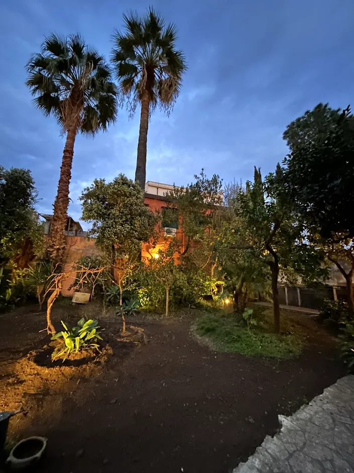 BeetCommunity – Botanical Garden | Coliving & Coworking Palermo
